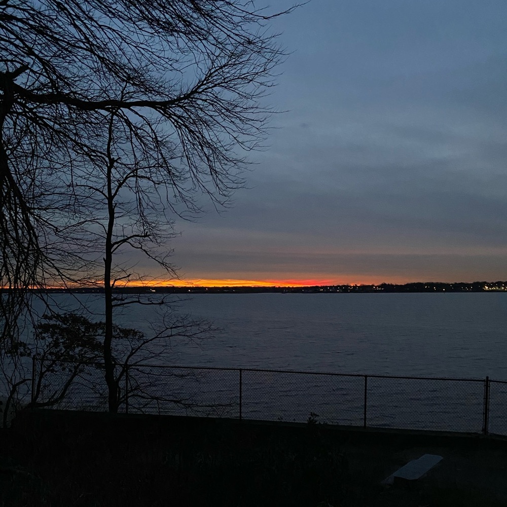 Meet your Posher, Rose